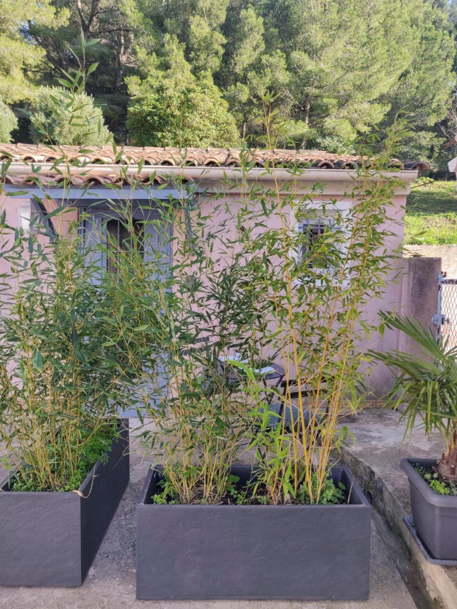 Appartement La Nina - A 5 Min De Cassis à Roquefort-la-Bédoule Extérieur photo